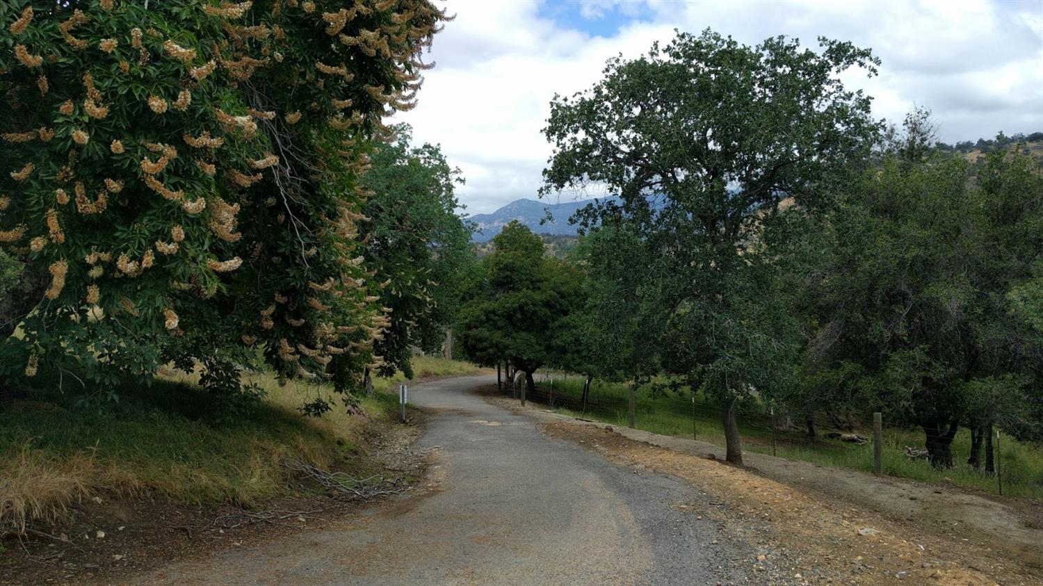 40837 Bear Creek Road Springville, CA 93265 - Photo 19 of 36 Paved Driveway; Leads to the two building pads