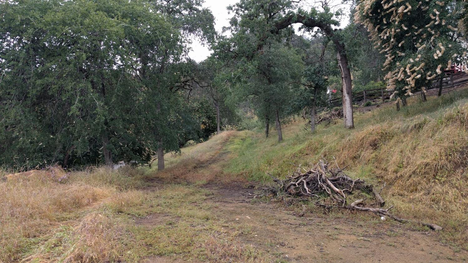 40837 Bear Creek Road Springville, CA 93265 - Photo 23 of 36 Looking Up at Driveway