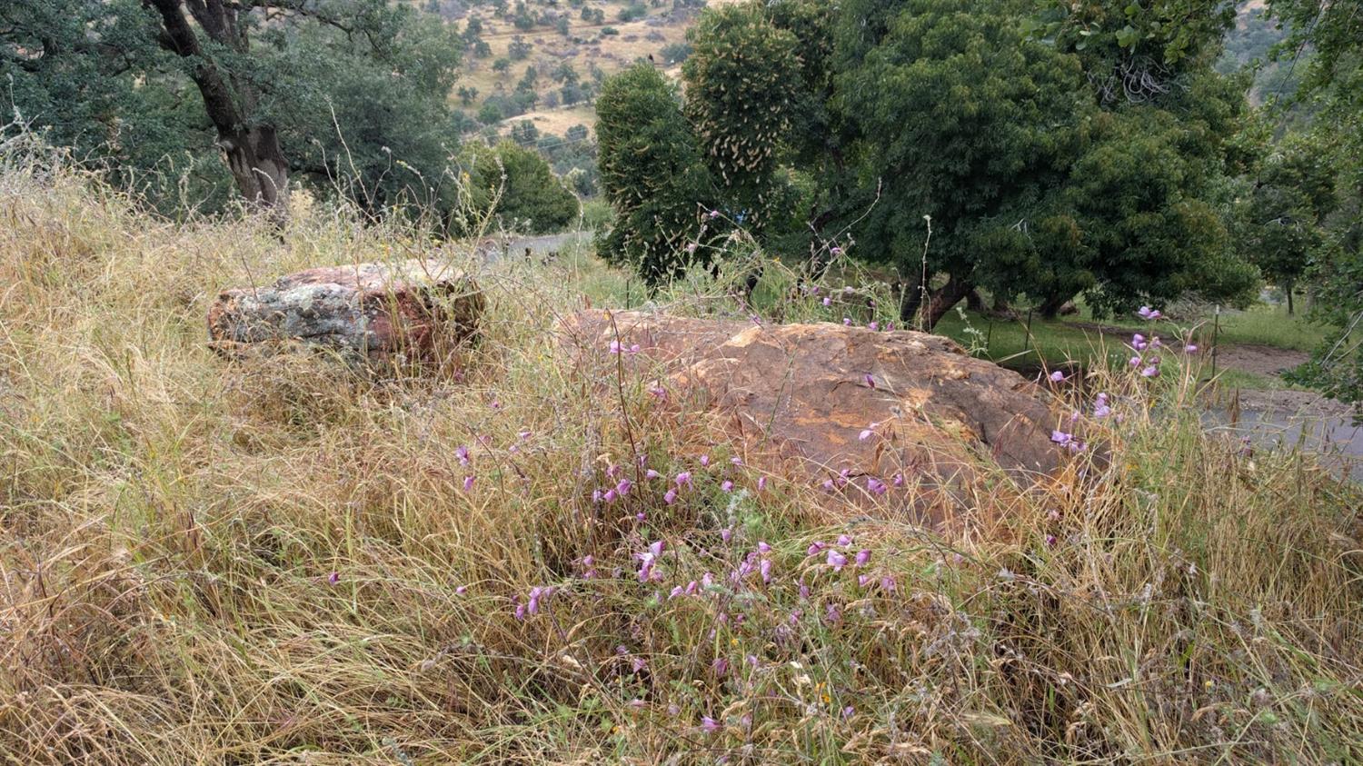 40837 Bear Creek Road Springville, CA 93265 - Photo 31 of 36 Boulders on Upper Pad