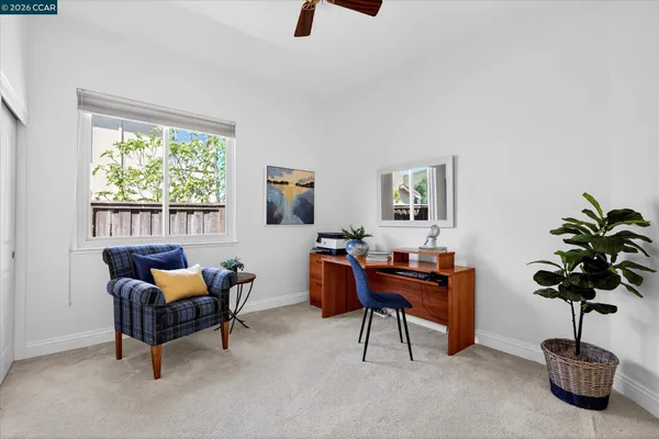 a living room with furniture potted plant and a window