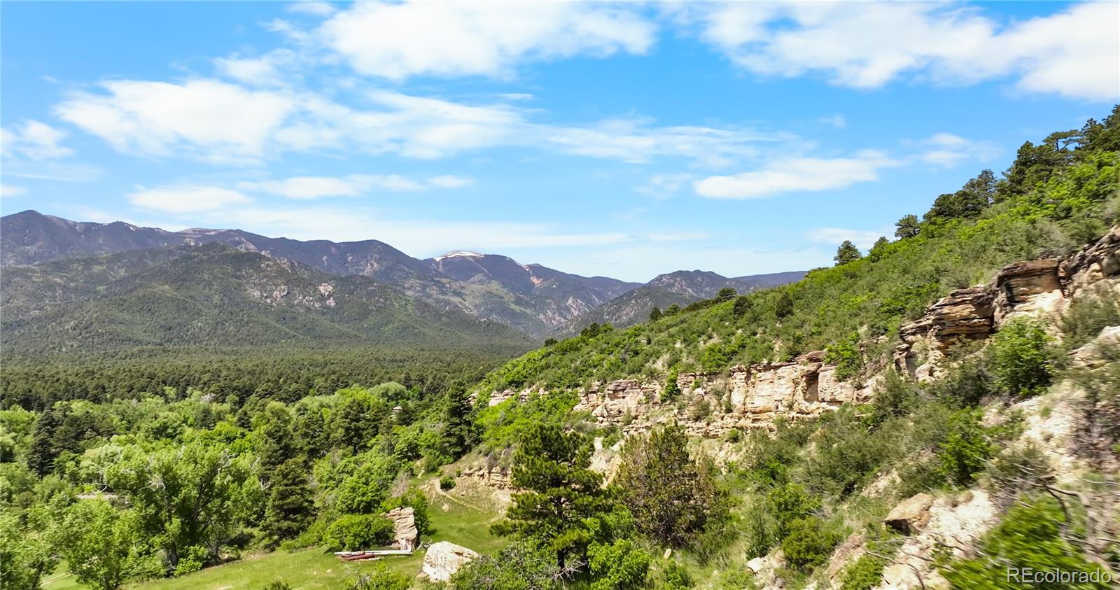 8221 Cuerna Verde Road Rye, CO 81069 - Photo 46 of 50 a view of a lush green forest with mountains in the background