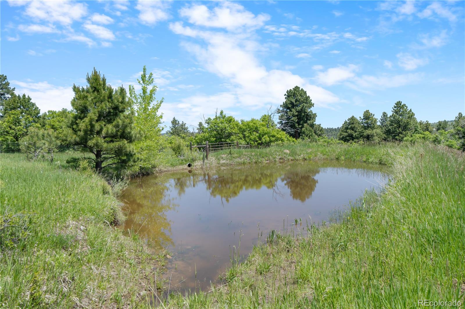 8221 Cuerna Verde Road Rye, CO 81069 - Photo 49 of 50 a view of a lake from a yard