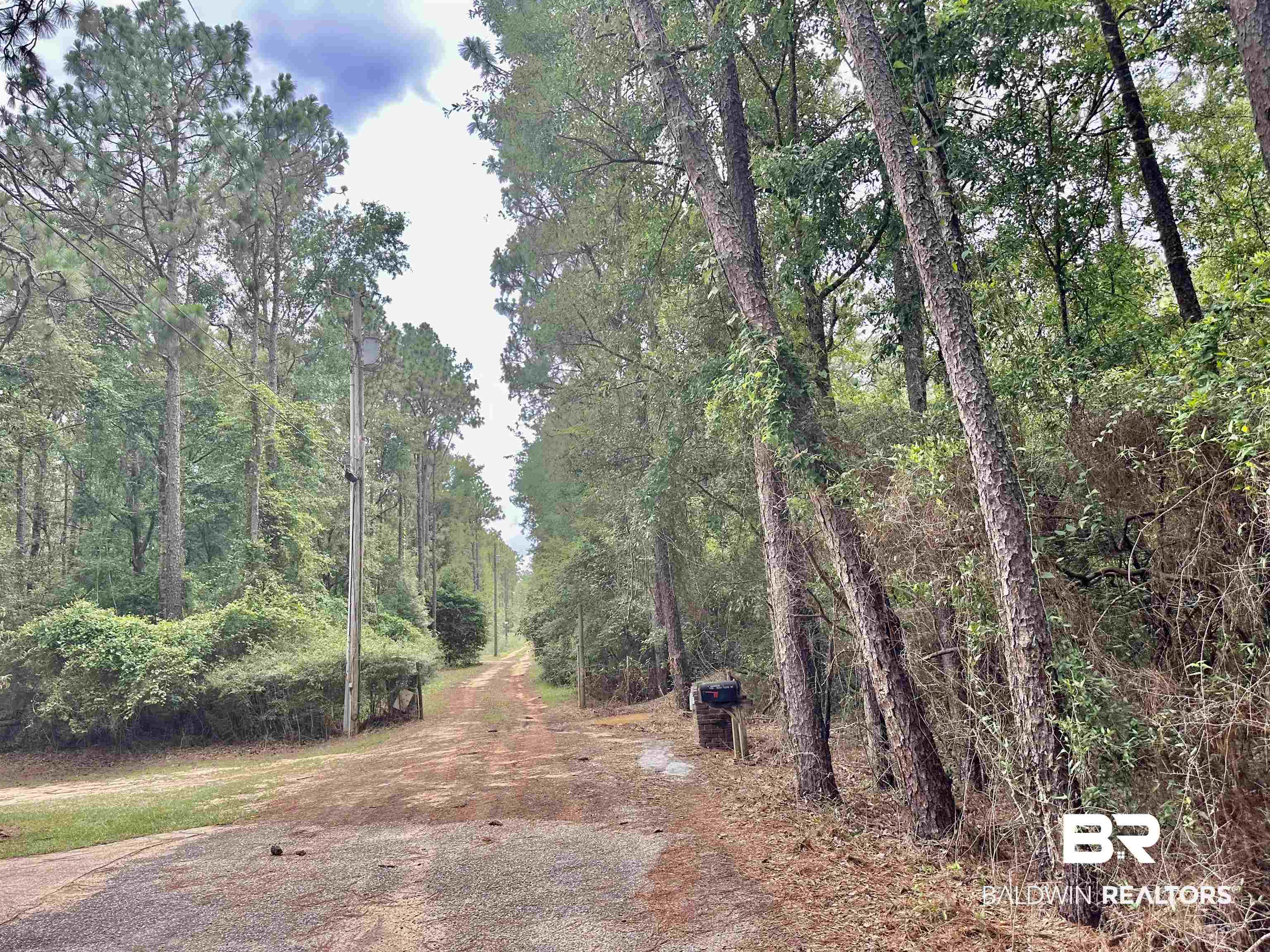 32349 Sibley Creek Road Daphne, AL 36527 - Photo 22 of 22 Seller installed this metal gate at his corner