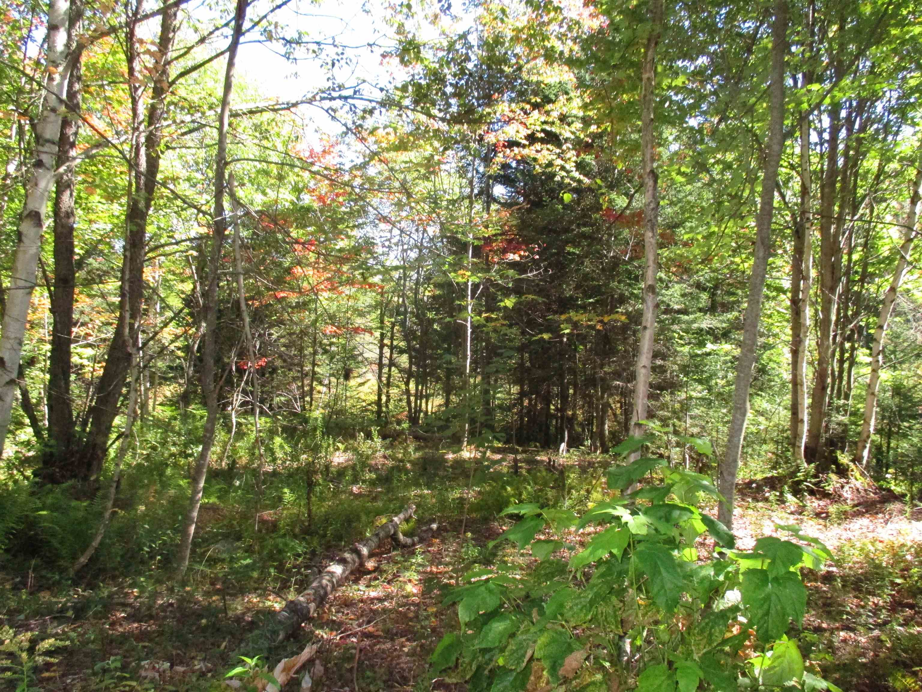 1414 Hudson Road Canaan, VT 05903 - Photo 18 of 20