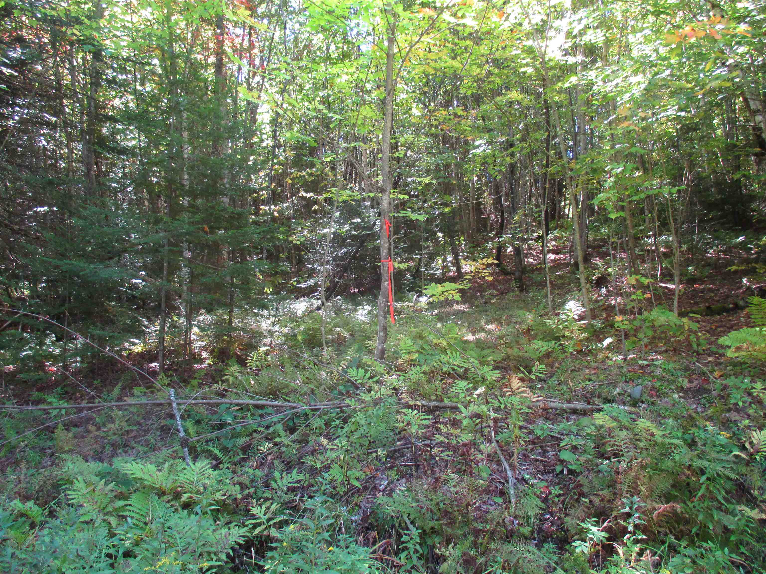 1414 Hudson Road Canaan, VT 05903 - Photo 19 of 20