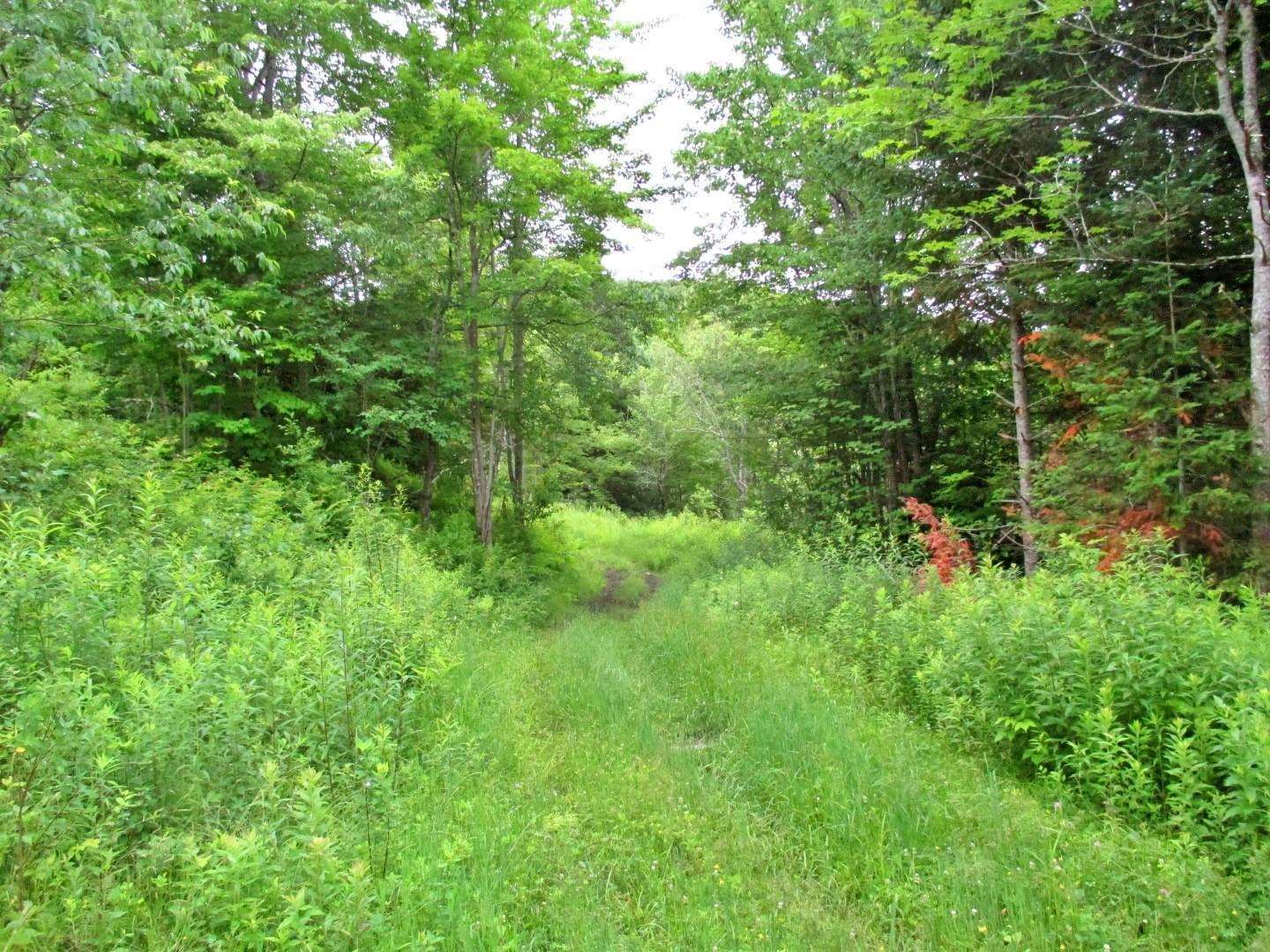 1414 Hudson Road Canaan, VT 05903 - Photo 5 of 20