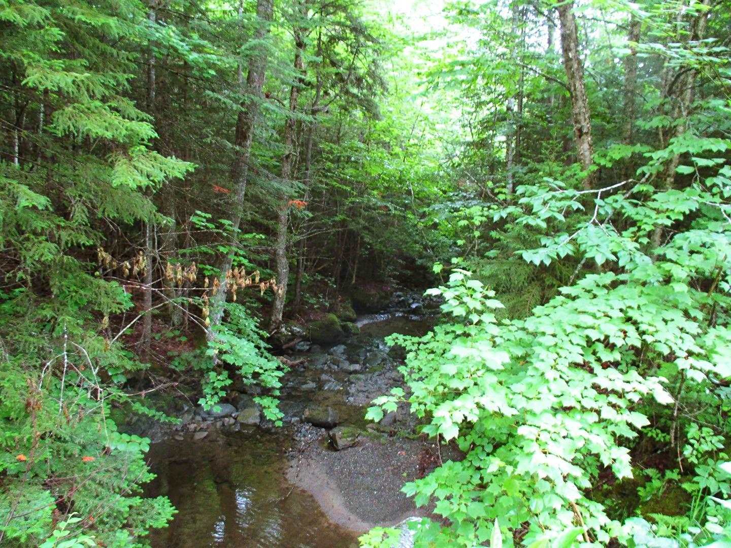 1414 Hudson Road Canaan, VT 05903 - Photo 9 of 20