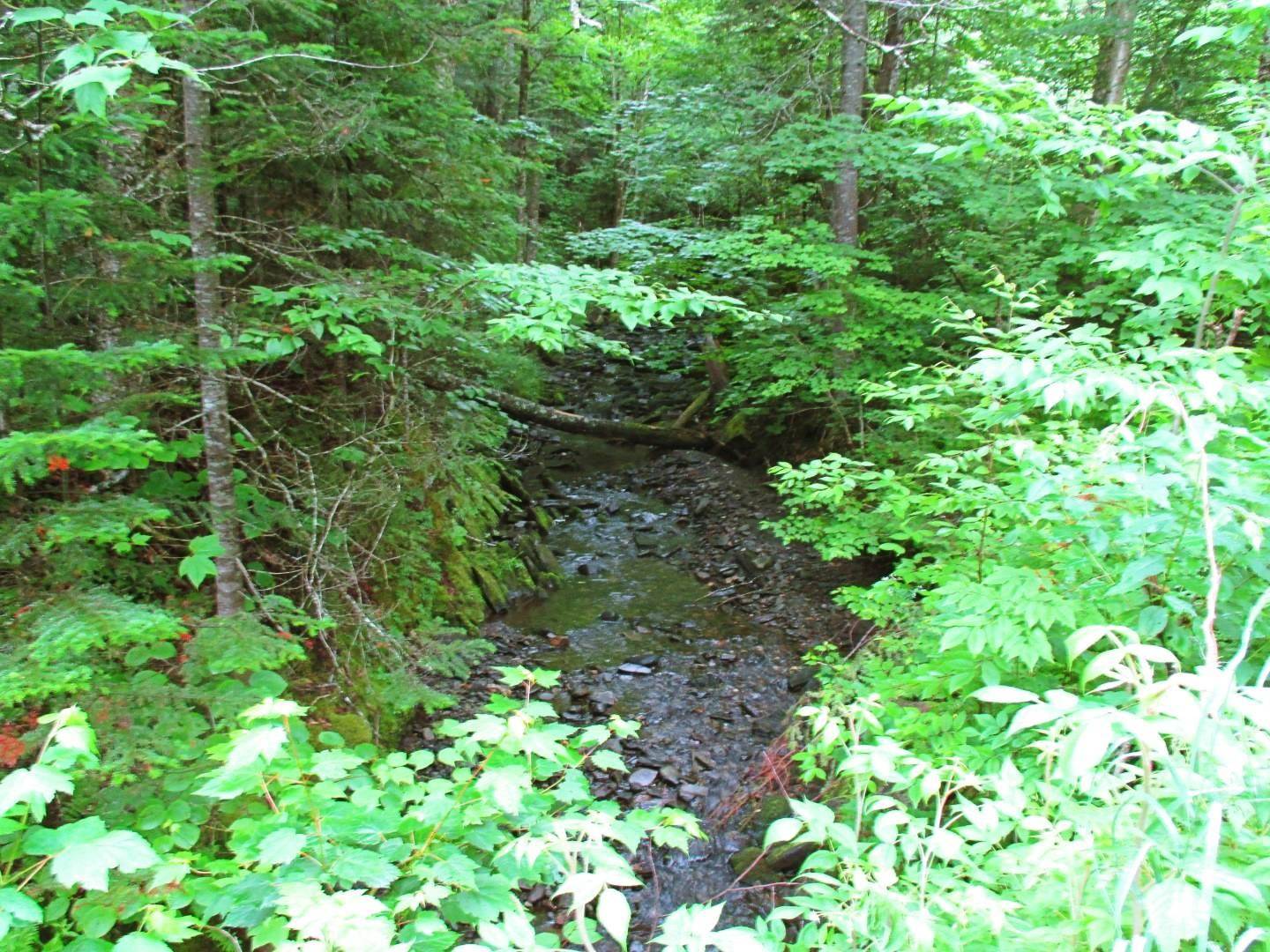 1414 Hudson Road Canaan, VT 05903 - Photo 10 of 20