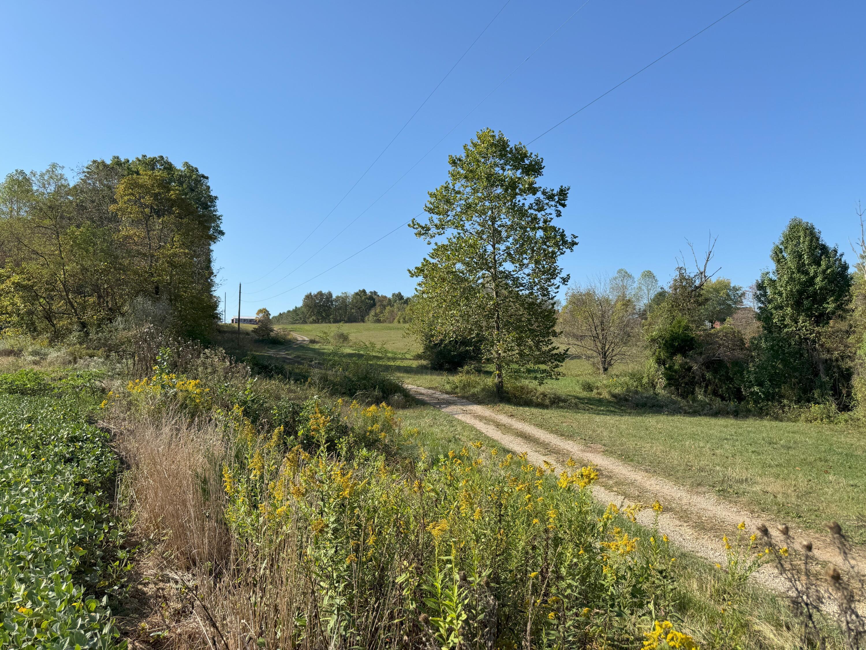 0 McKinney Road Piketon, OH 45661 - Photo 4 of 27 IMG_8902