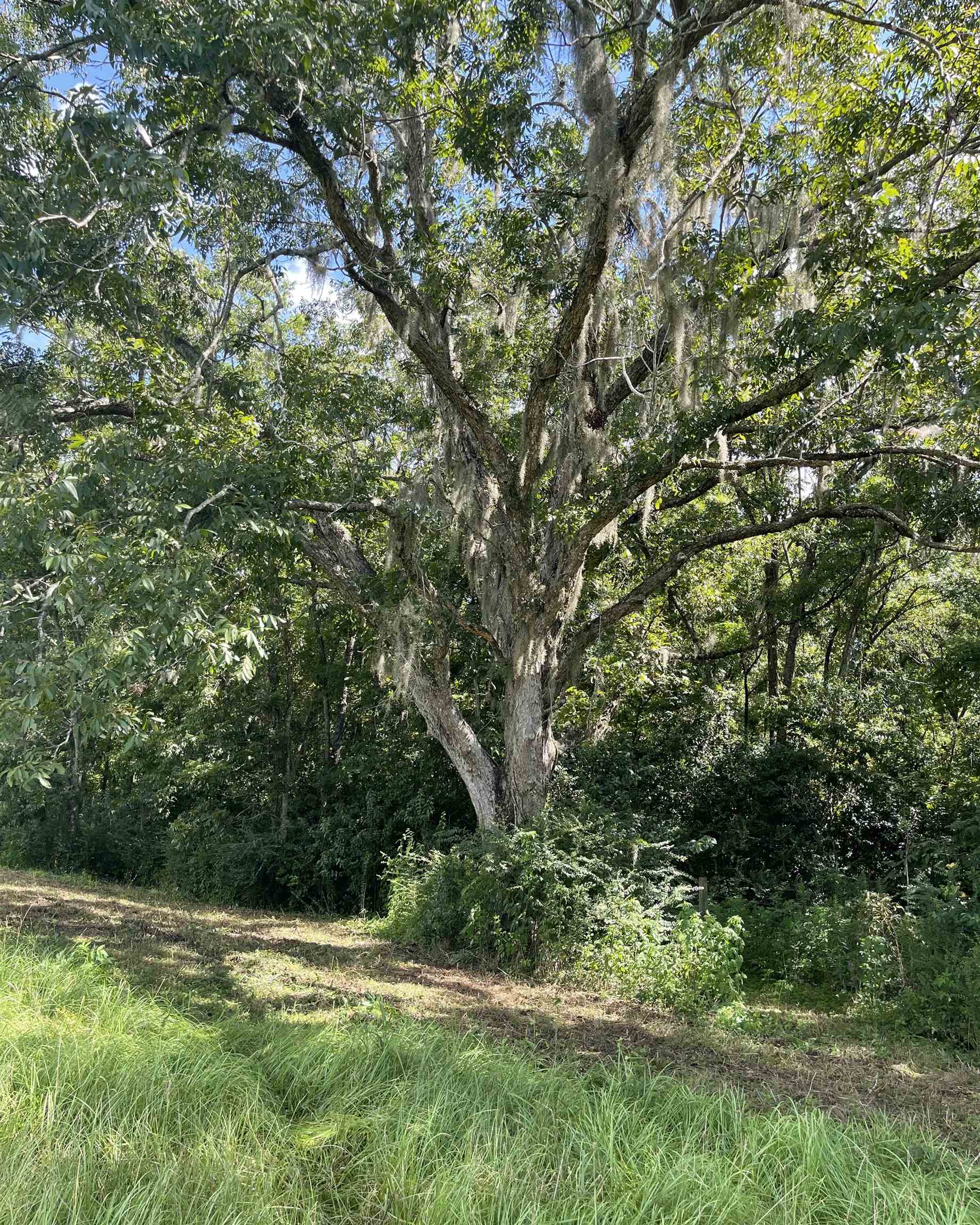 Xx Spooner Road Quincy, FL 32351 - Photo 3 of 9 Gallery Image 3