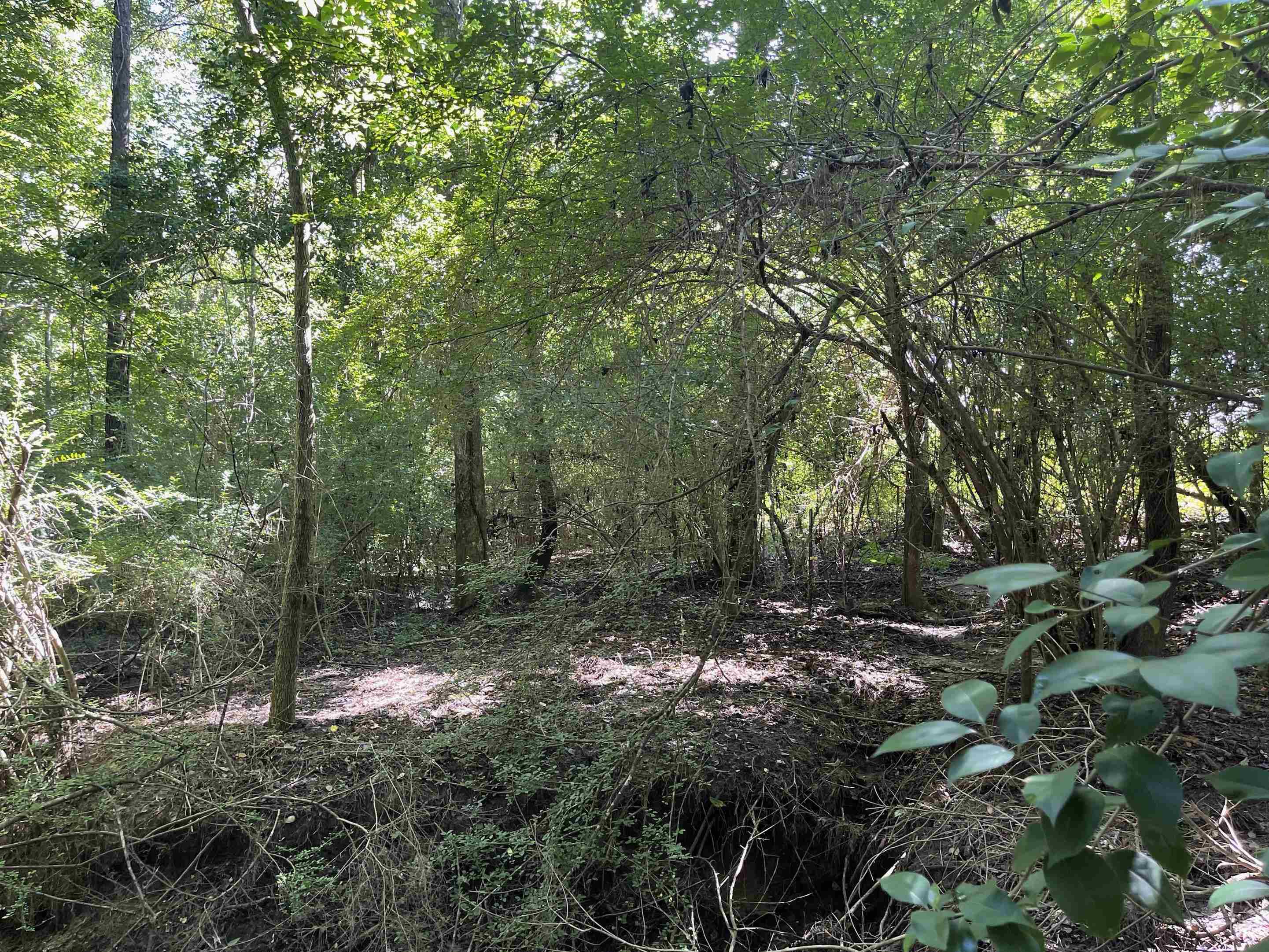Xx Spooner Road Quincy, FL 32351 - Photo 4 of 9 Gallery Image 4