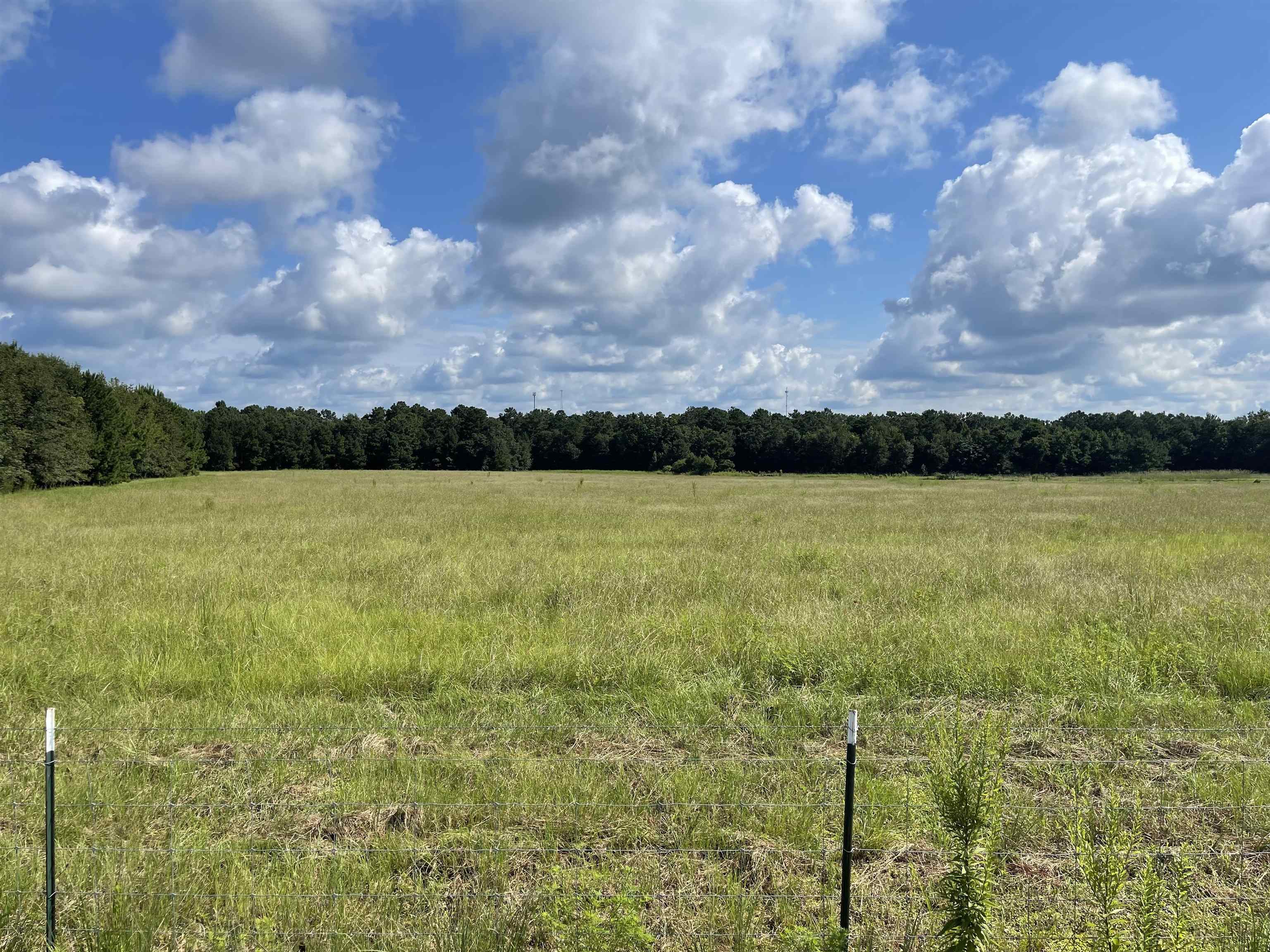Xx Spooner Road Quincy, FL 32351 - Photo 8 of 9 Gallery Image 8