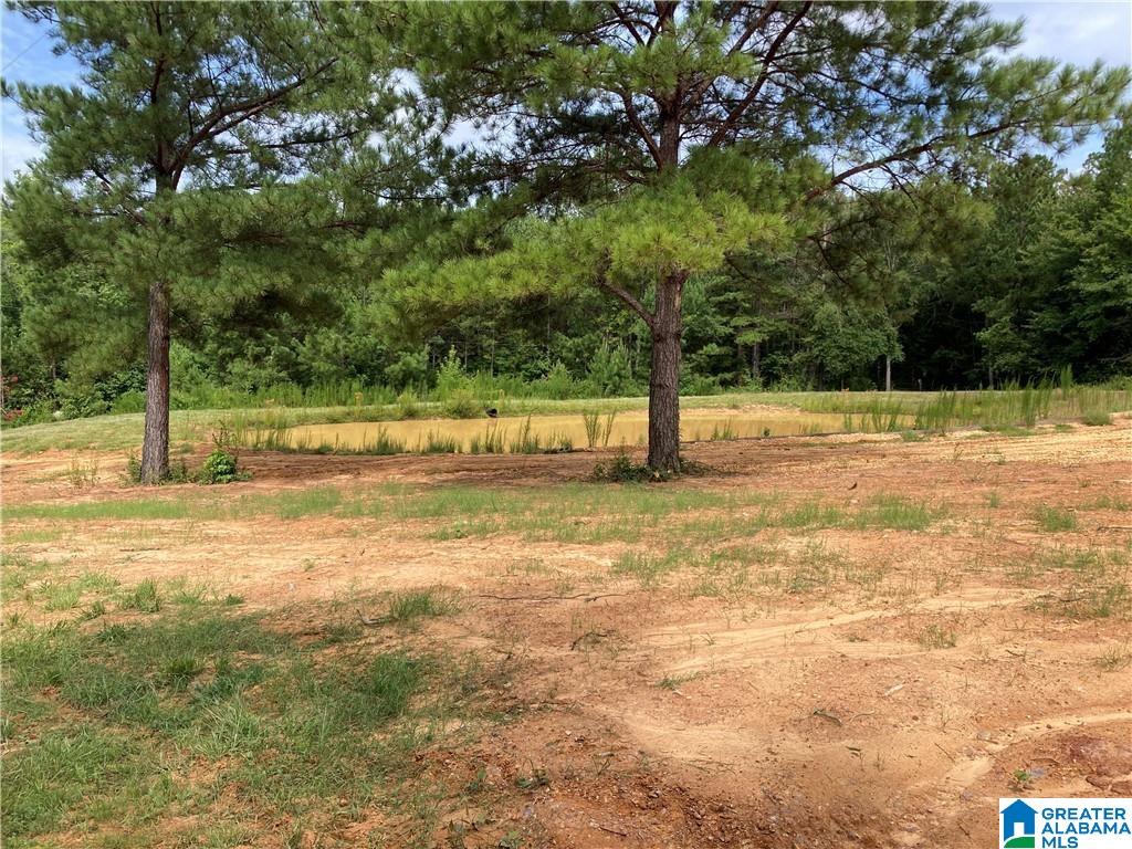 3025 Potato Patch Creek Road Marion, AL 36756 - Photo 15 of 24