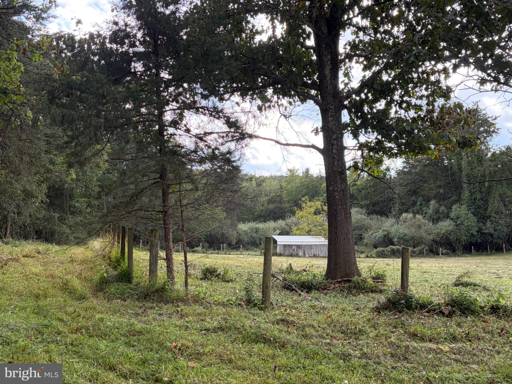 2983 Old Winchester Road Boyce, VA 22620 - Photo 73 of 98 Fence posts are in for some of the future fencing