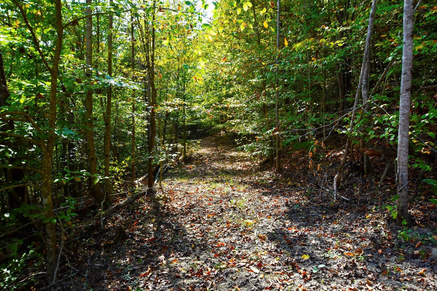 106 Middle Fork Road Irvine, KY 40336 - Photo 14 of 14 Great trail system!