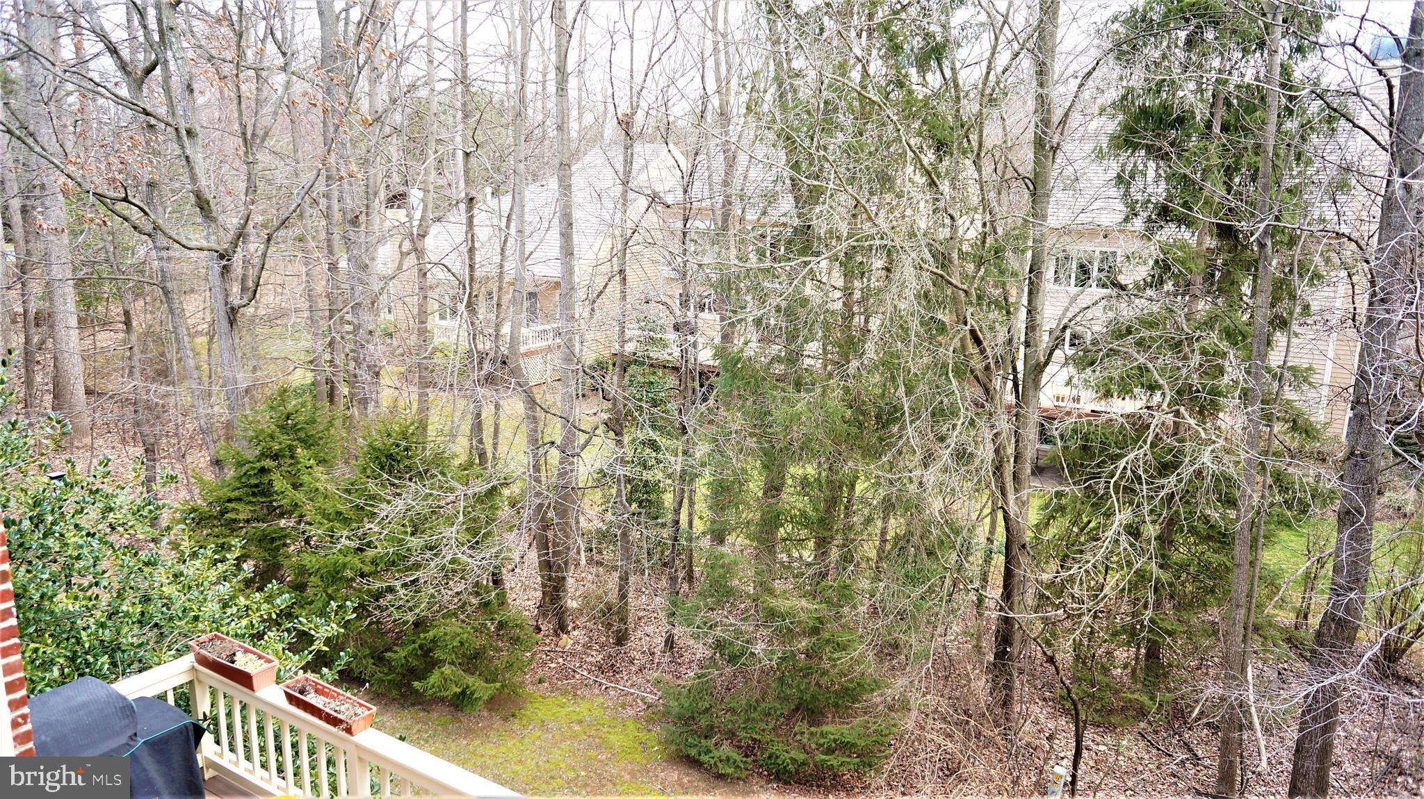 11530 Hemingway Drive Reston, VA 20194 - Photo 43 of 79