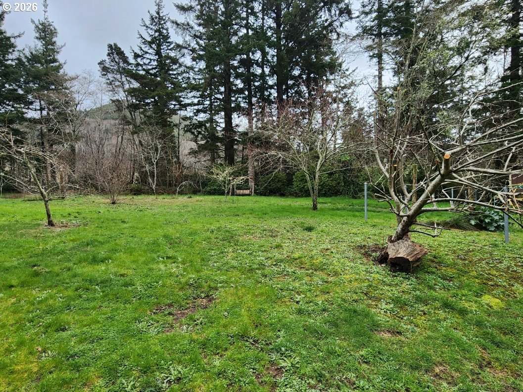 45366 Highway 101 Sixes, OR 97476 - Photo 29 of 34 a view of a park with large trees