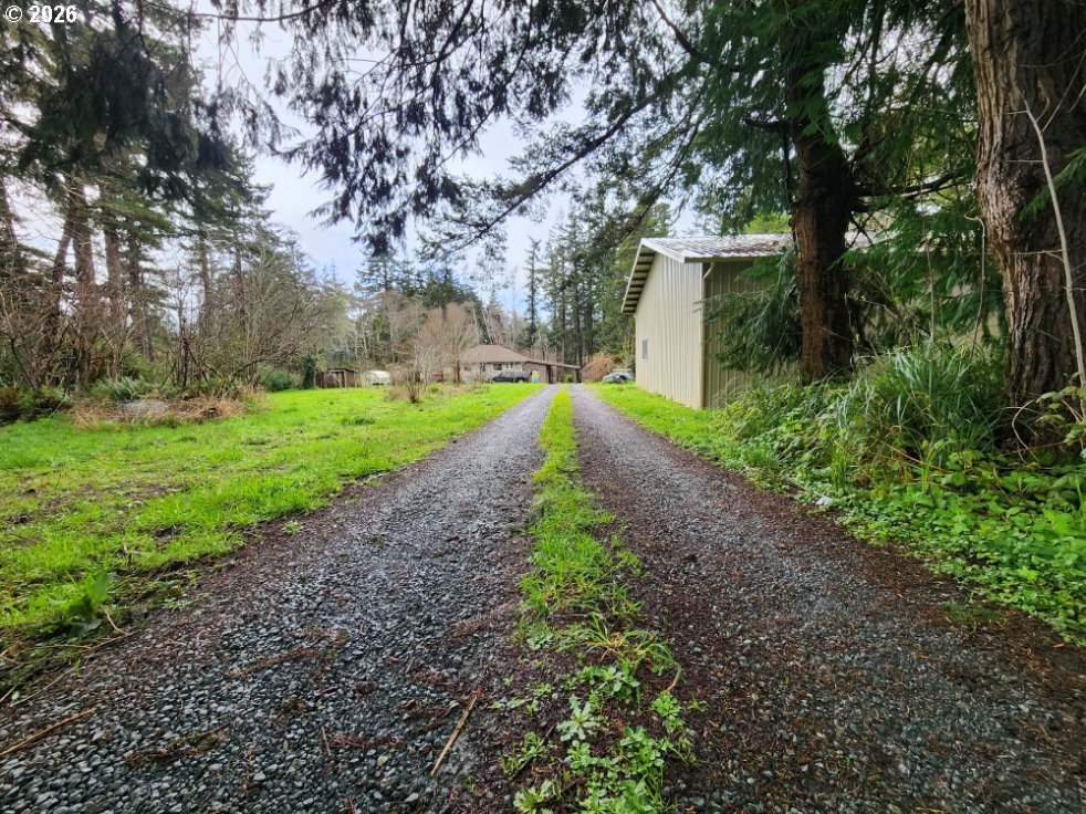 45366 Highway 101 Sixes, OR 97476 - Photo 30 of 34 a view of a yard with plants and a large tree