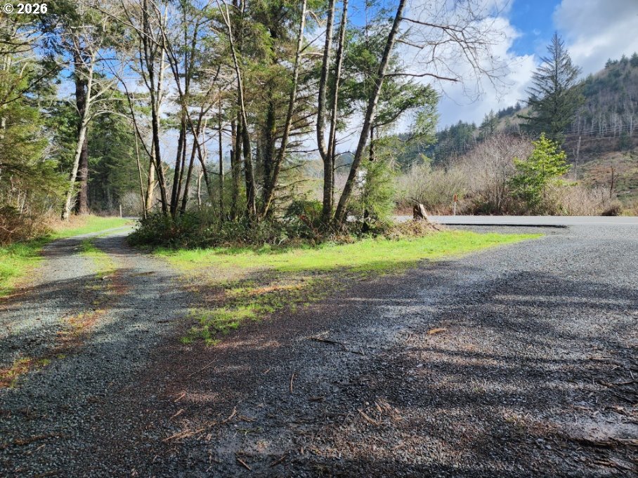 45366 Highway 101 Sixes, OR 97476 - Photo 31 of 34 a view of outdoor space with trees