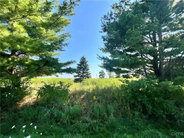 $18,000 | 24458 Dano Road, Theresa, NY 13691