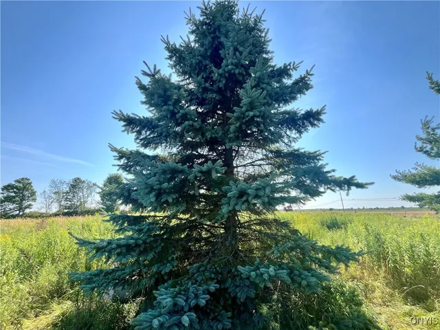 $18,000 | 24458 Dano Road, Theresa, NY 13691