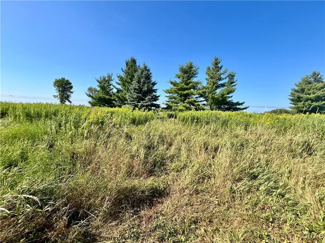 $18,000 | 24458 Dano Road, Theresa, NY 13691