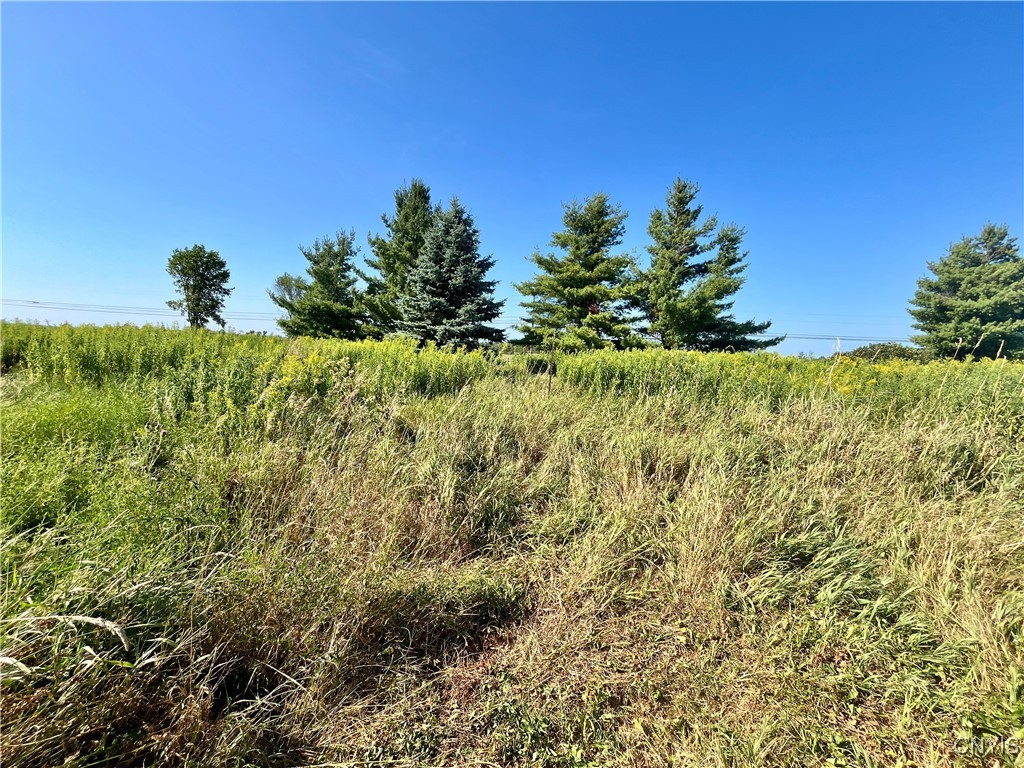 24458 Dano Road Theresa, NY 13691 - Photo 3 of 7