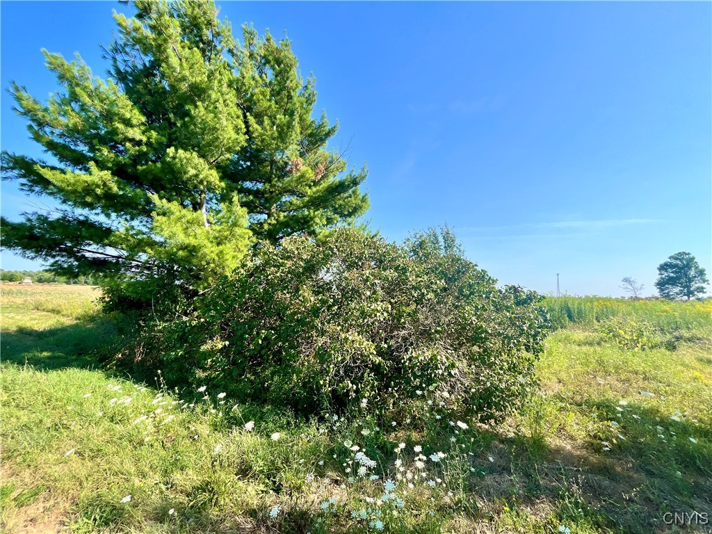 24458 Dano Road Theresa, NY 13691 - Photo 4 of 7