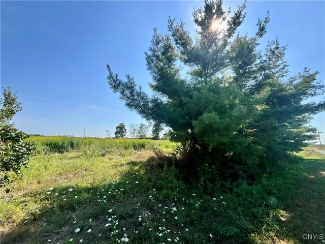 $18,000 | 24458 Dano Road, Theresa, NY 13691