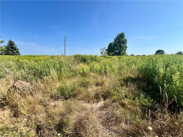 $18,000 | 24458 Dano Road, Theresa, NY 13691