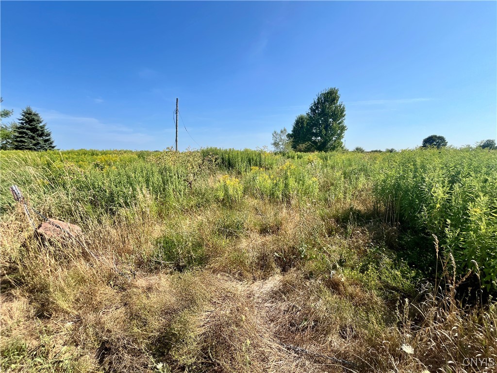 24458 Dano Road Theresa, NY 13691 - Photo 6 of 7