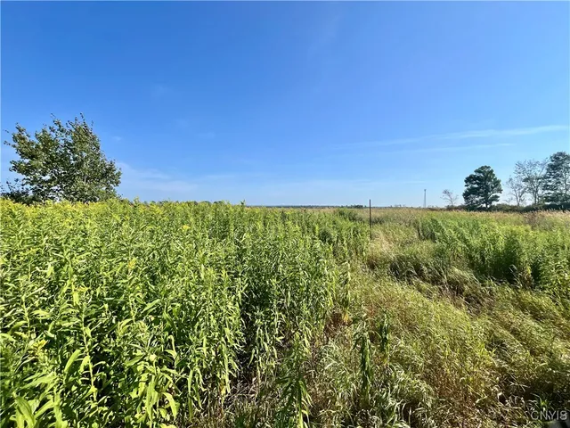 $18,000 | 24458 Dano Road, Theresa, NY 13691