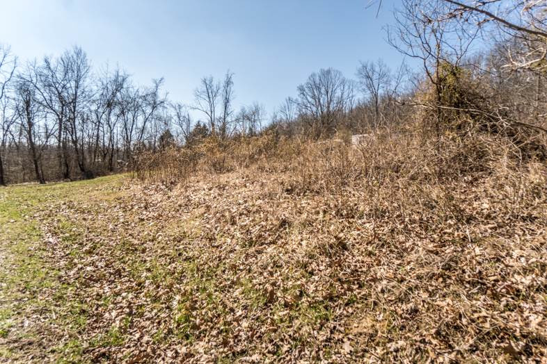 557 Wright Road Butler, KY 41006 - Photo 3 of 4 Gallery Image 3