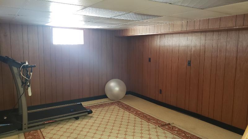 12090 Bunton Road Willis, MI 48191 - Photo 37 of 49 #37 basement rec room_resized