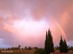 233 North Tracy Road Pearce, AZ 85625 - Photo 20 of 33 Gallery Image 20