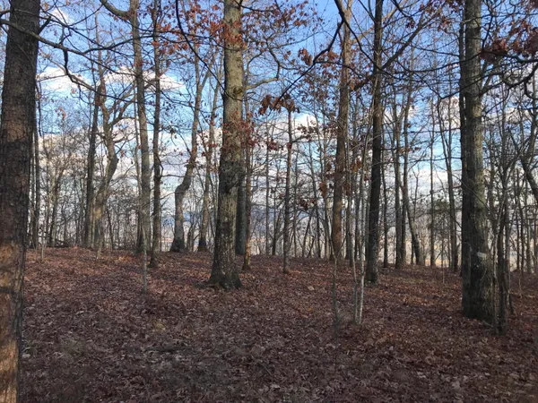 $219,900 | 1 Vista View Drive South, Dunlap, TN 37327