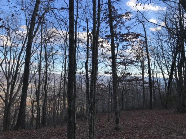 $219,900 | 1 Vista View Drive South, Dunlap, TN 37327
