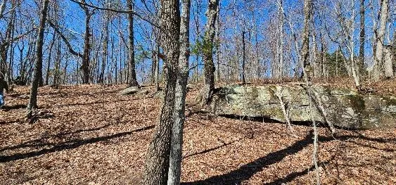 $219,900 | 1 Vista View Drive South, Dunlap, TN 37327