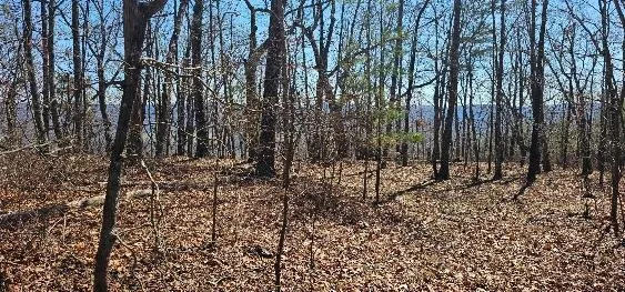 $219,900 | 1 Vista View Drive South, Dunlap, TN 37327