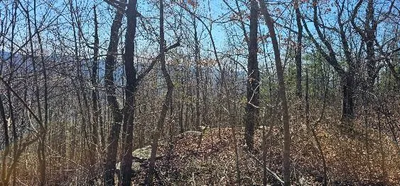$219,900 | 1 Vista View Drive South, Dunlap, TN 37327