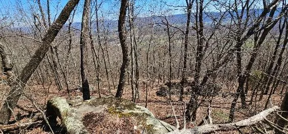 $219,900 | 1 Vista View Drive South, Dunlap, TN 37327