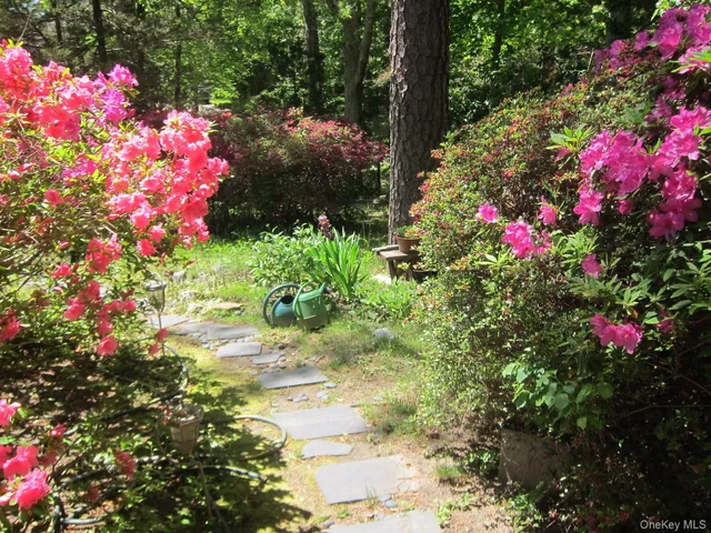 a picture of flowers