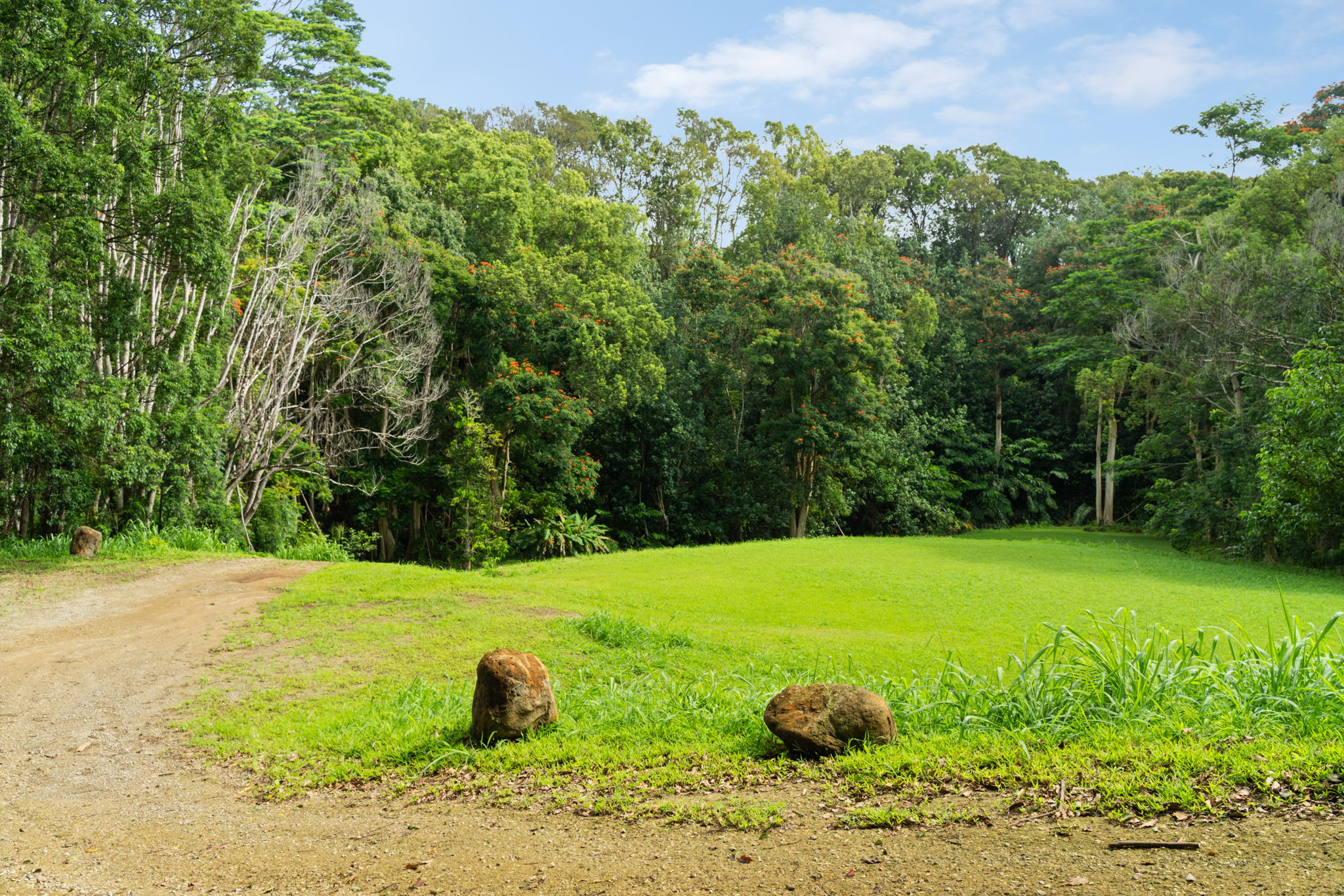 83 B Hauiki Road Kapaa, HI 96746 - Photo 11 of 30 a view of a field with plants