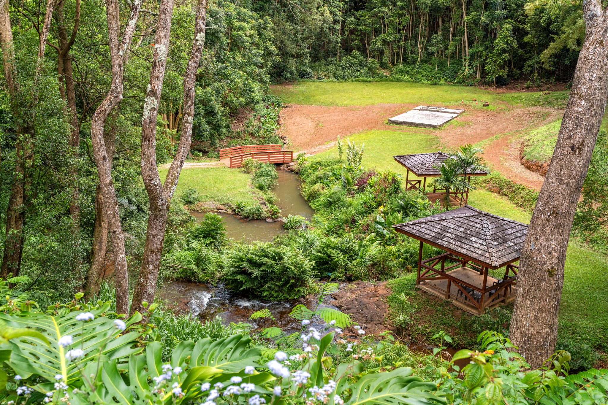 83 B Hauiki Road Kapaa, HI 96746 - Photo 14 of 30 a view of a backyard with plants and a garden