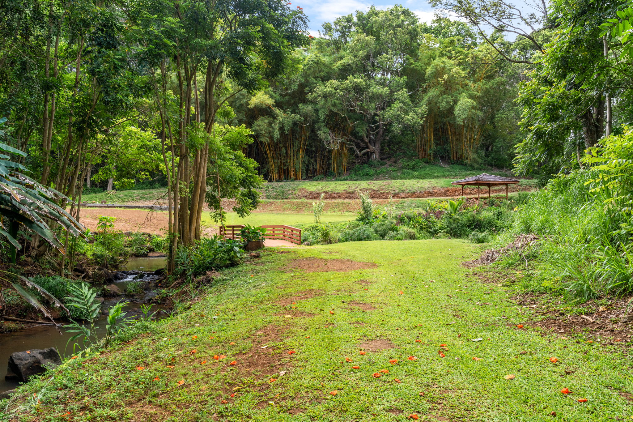 83 B Hauiki Road Kapaa, HI 96746 - Photo 15 of 30 a view of backyard with swimming pool