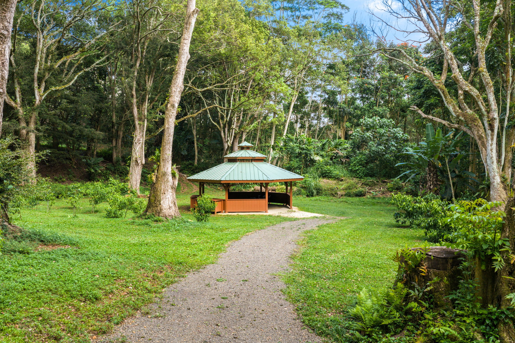 83 B Hauiki Road Kapaa, HI 96746 - Photo 21 of 30 a view of a garden with an outdoor space