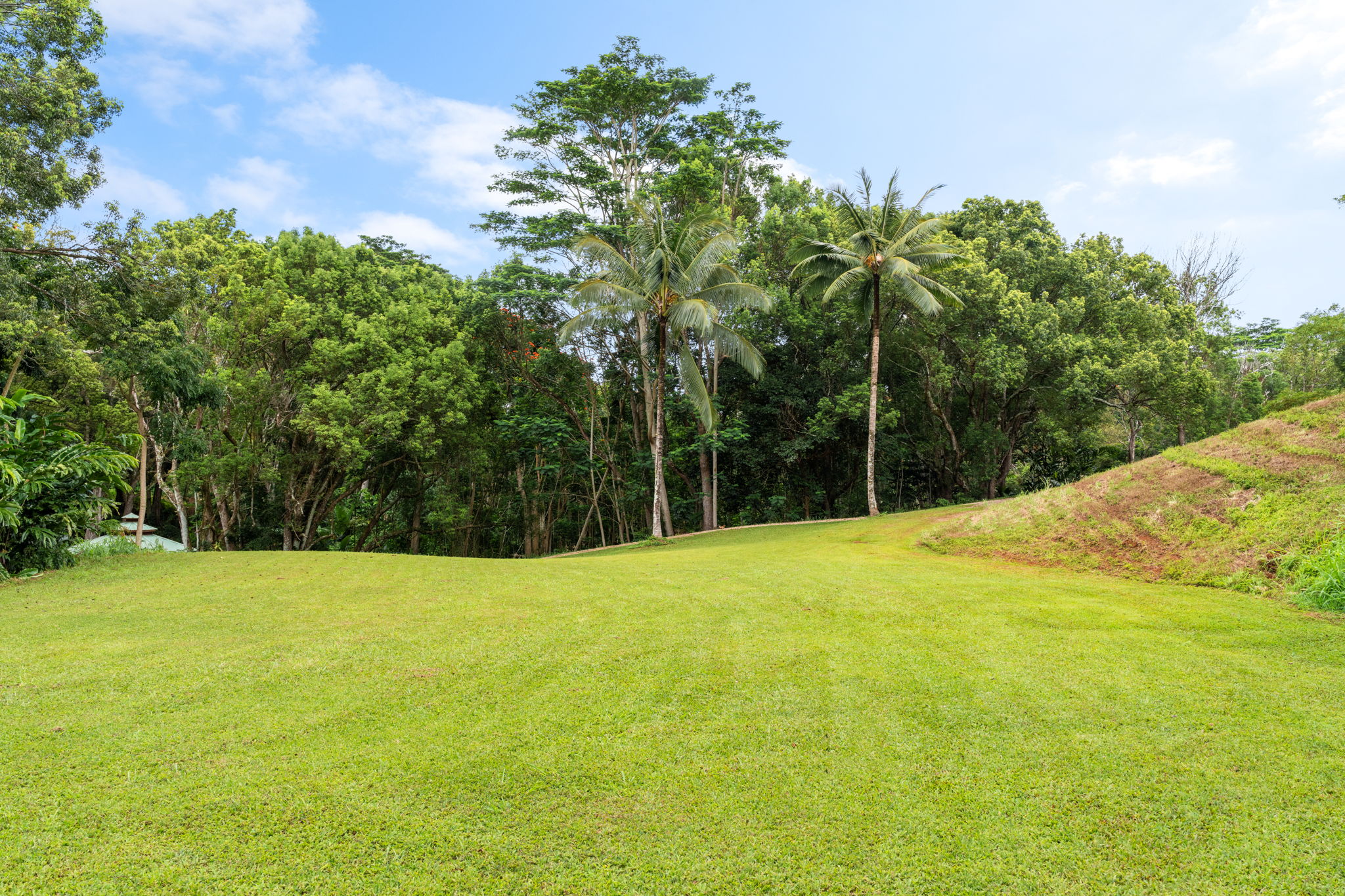 83 B Hauiki Road Kapaa, HI 96746 - Photo 23 of 30 a view of an outdoor space and a yard