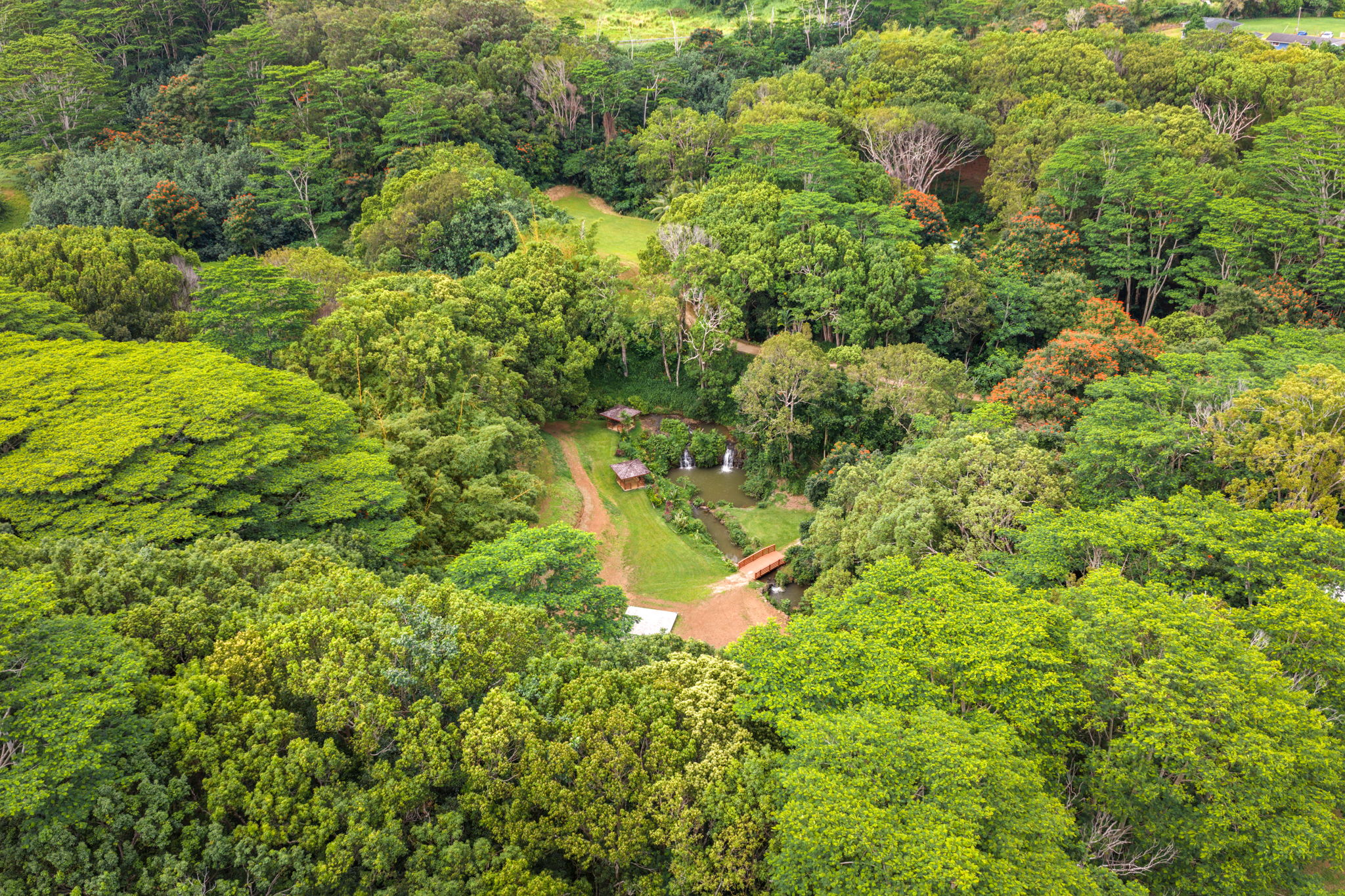 83 B Hauiki Road Kapaa, HI 96746 - Photo 24 of 30 a view of a garden