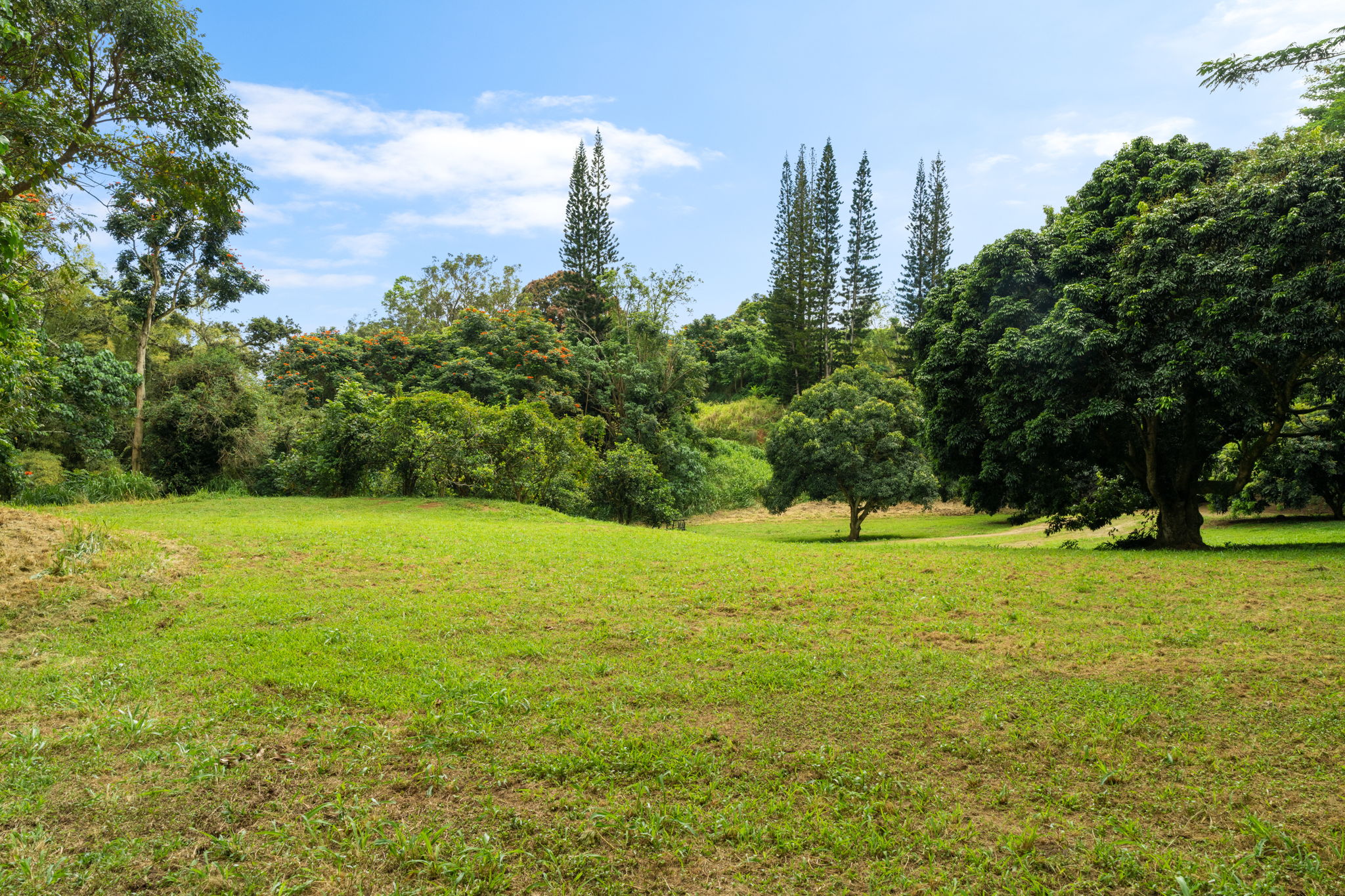 83 B Hauiki Road Kapaa, HI 96746 - Photo 27 of 30 a view of a city with tall buildings in the background