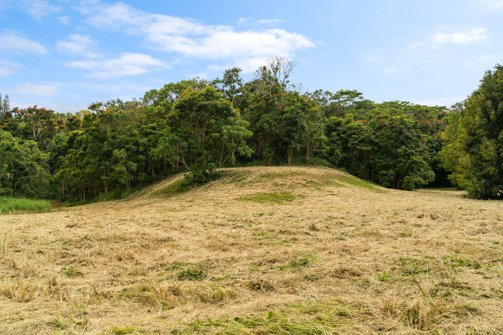 83 B Hauiki Road Kapaa, HI 96746 - Photo 29 of 30 a view of empty space with mountain